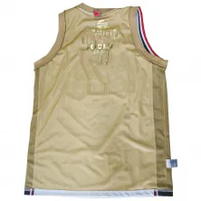 CAMISETA NIKE DREAM TEAM LARRY BIRD USA