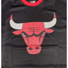 Camiseta Chicago Bulls NBA Team Logo Oversized de New Era