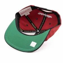 Gorra plana Chicago Bulls transcript VNTG Mitchell and Ness