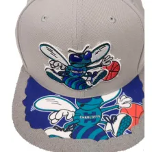 Gorra plana Charlotte Hornets NBA Munch Time en Gris