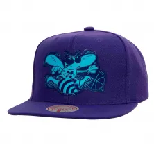 Gorra plana Charlotte Hornets "Now you see me"