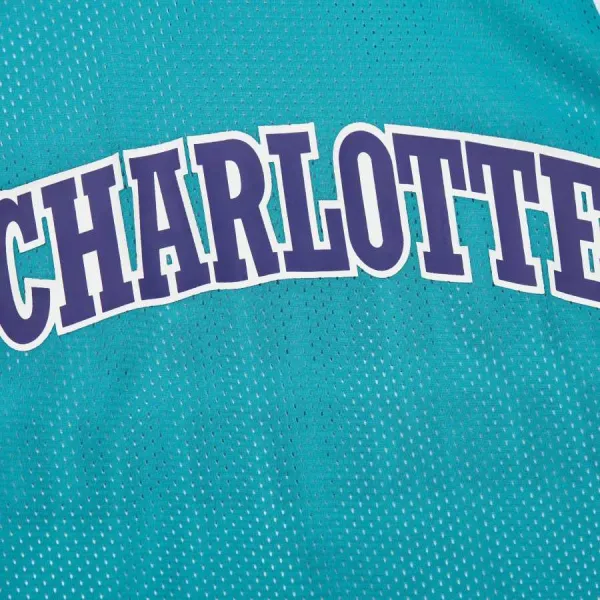 Camiseta Reversible Charlotte Hornets NBA Mesh vintage logo